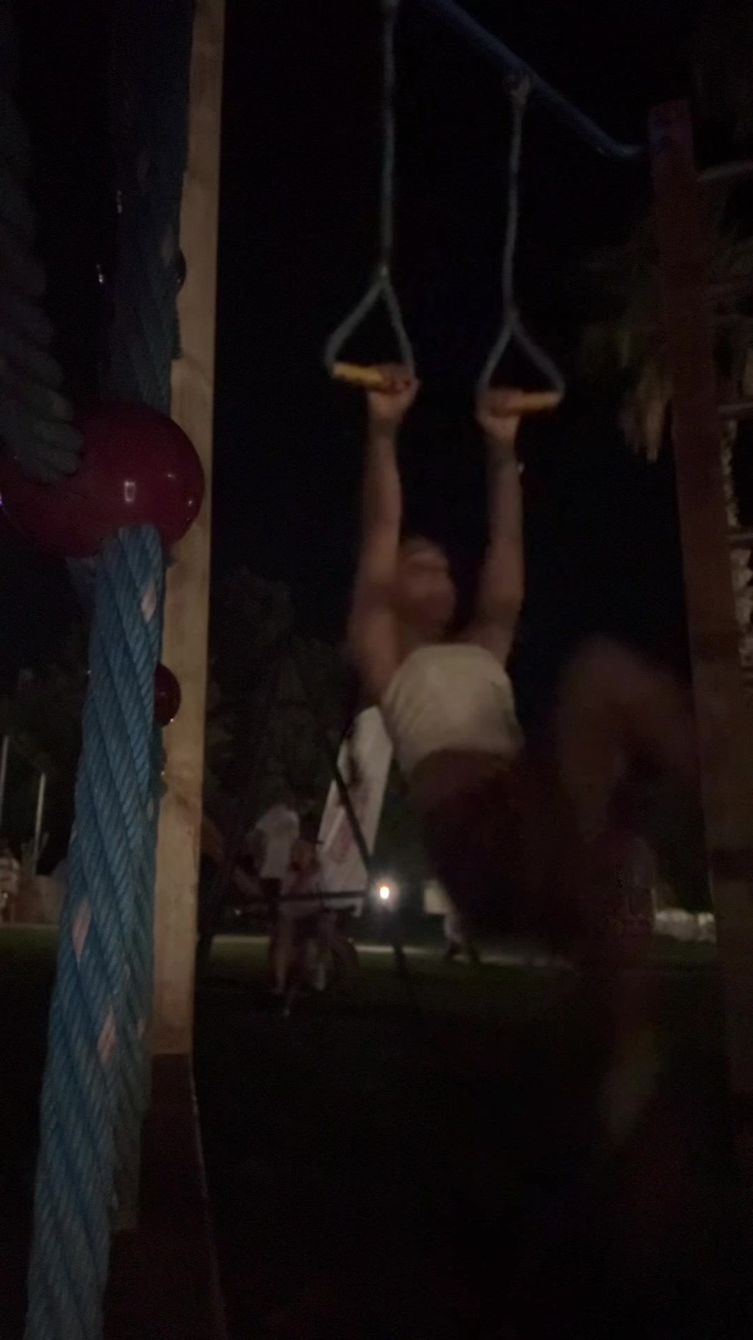 @aerialleopard