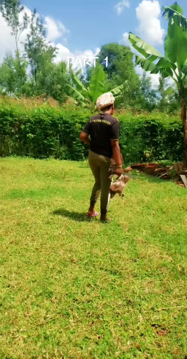 @bossy❤baibe