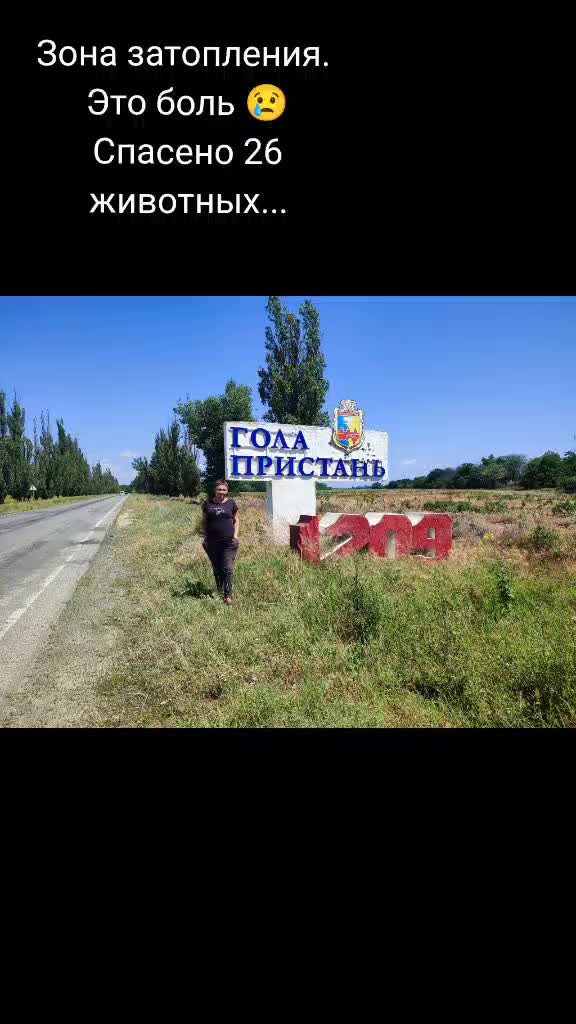 @irina.volik.donetsk.4LAPKI
