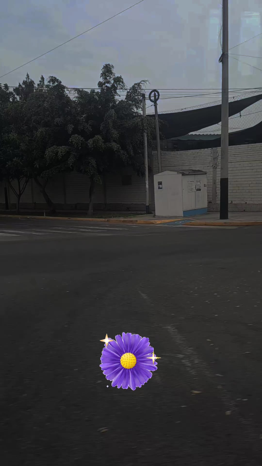 @🦋🍃Katy Sánchez🍃🦋