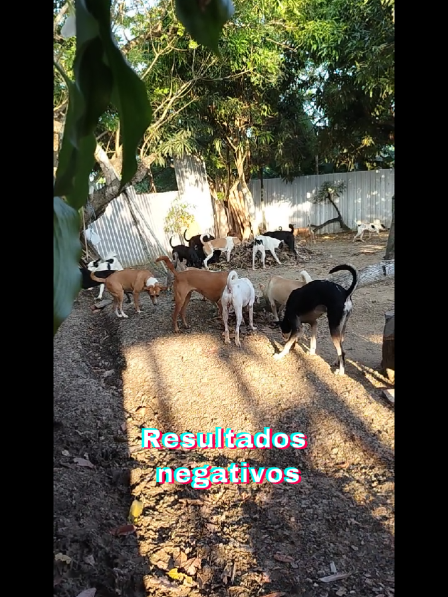 @REFUGIO P.R.A.T