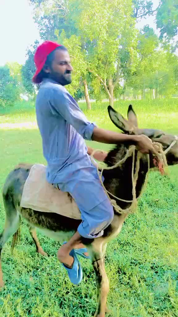 @❤️yaar anmulle50💛
