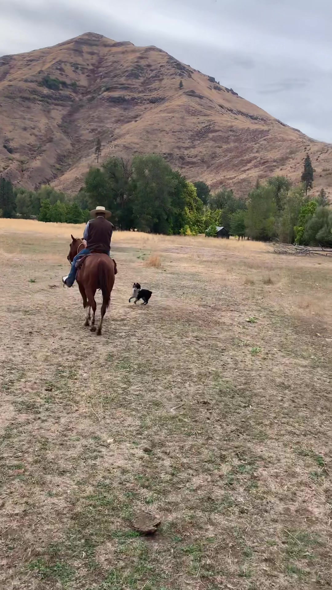 @Cowboytok