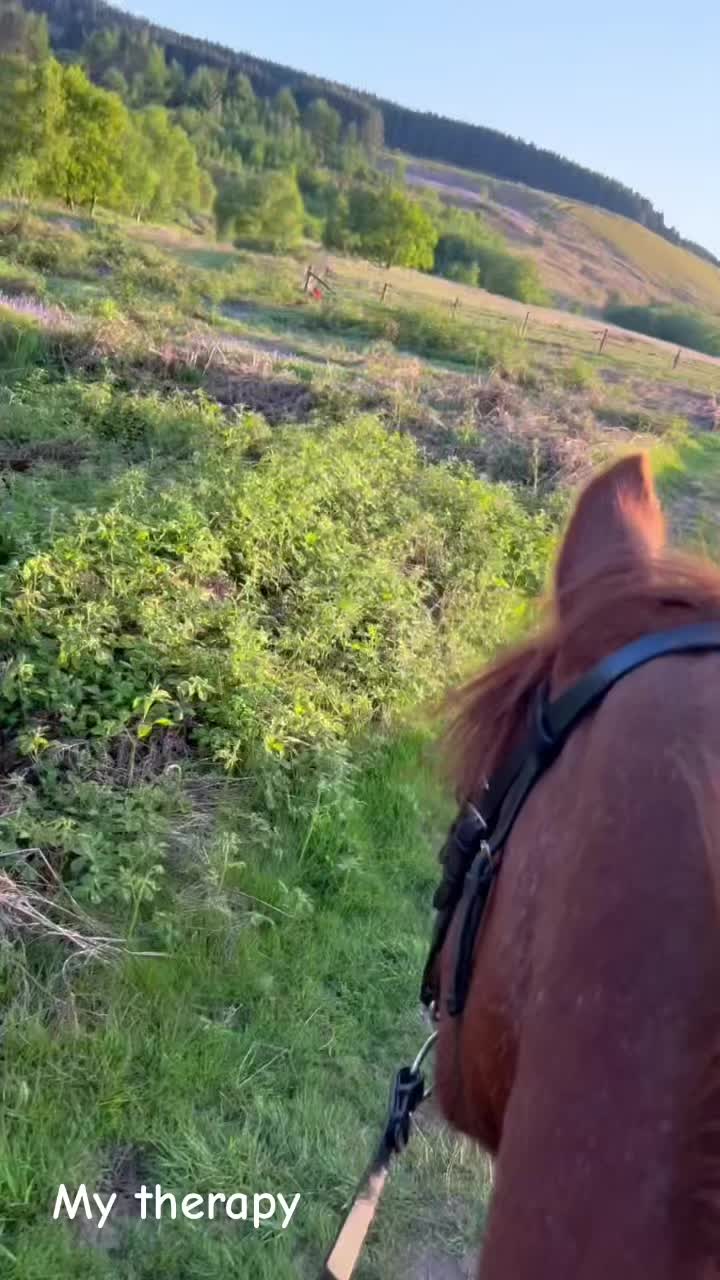 @Horses <3