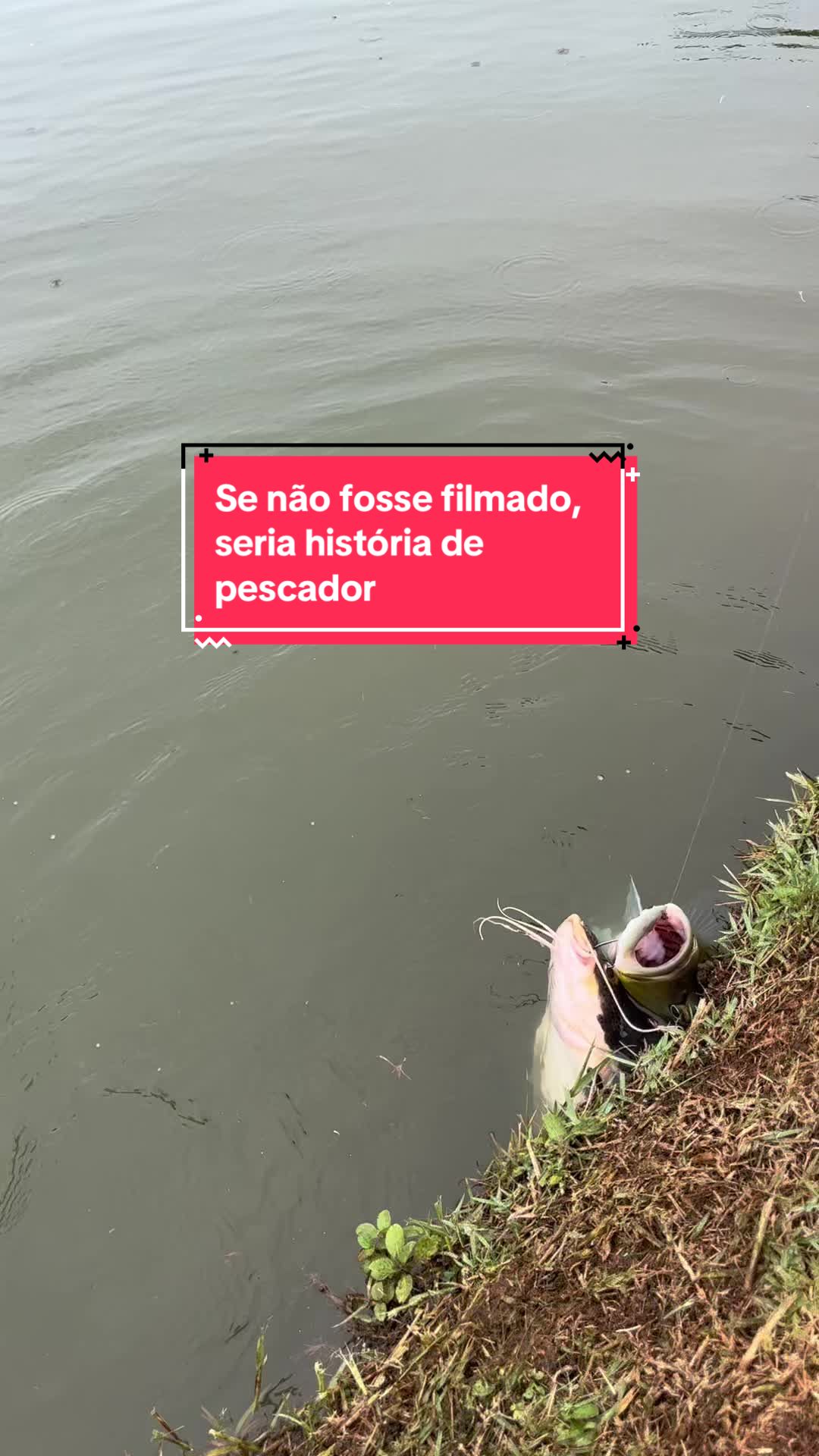 @Dimex Pescador