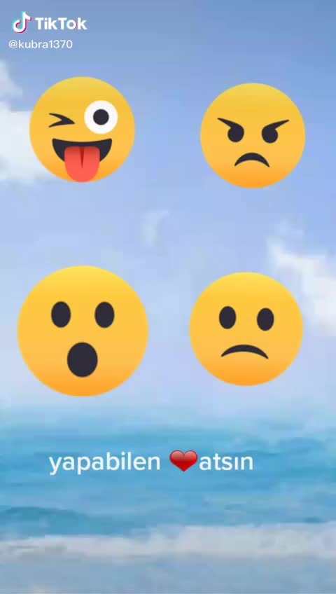 @user846623281181