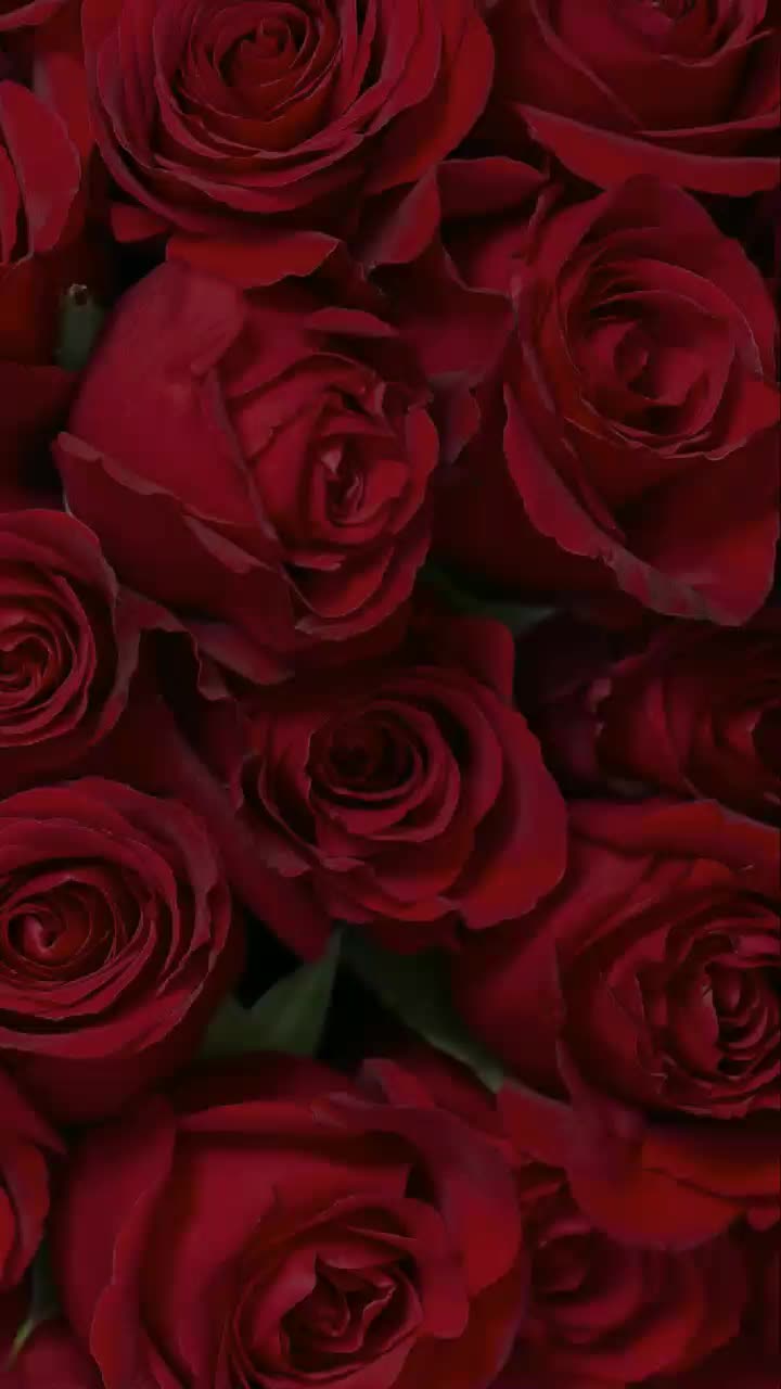 @Jivini