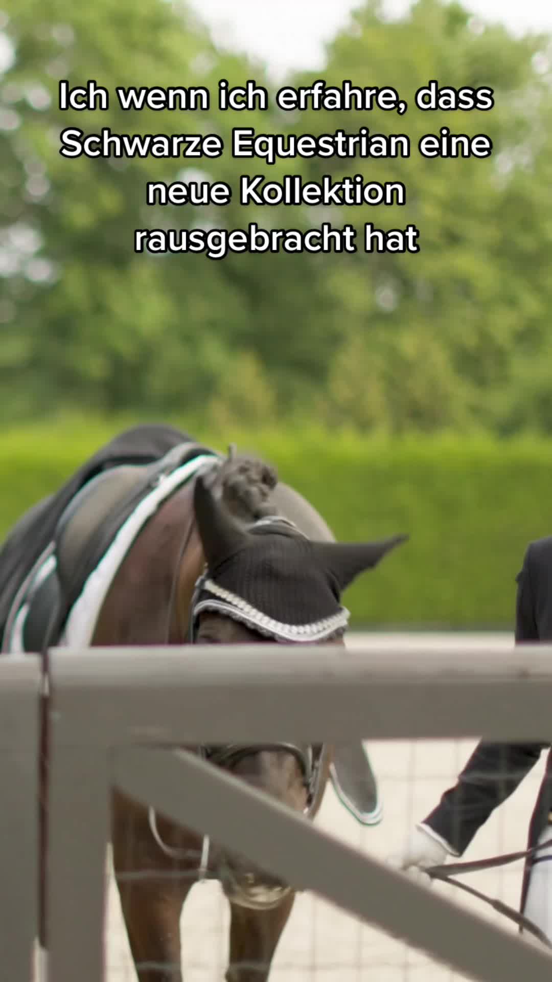 @Schwarze Equestrian