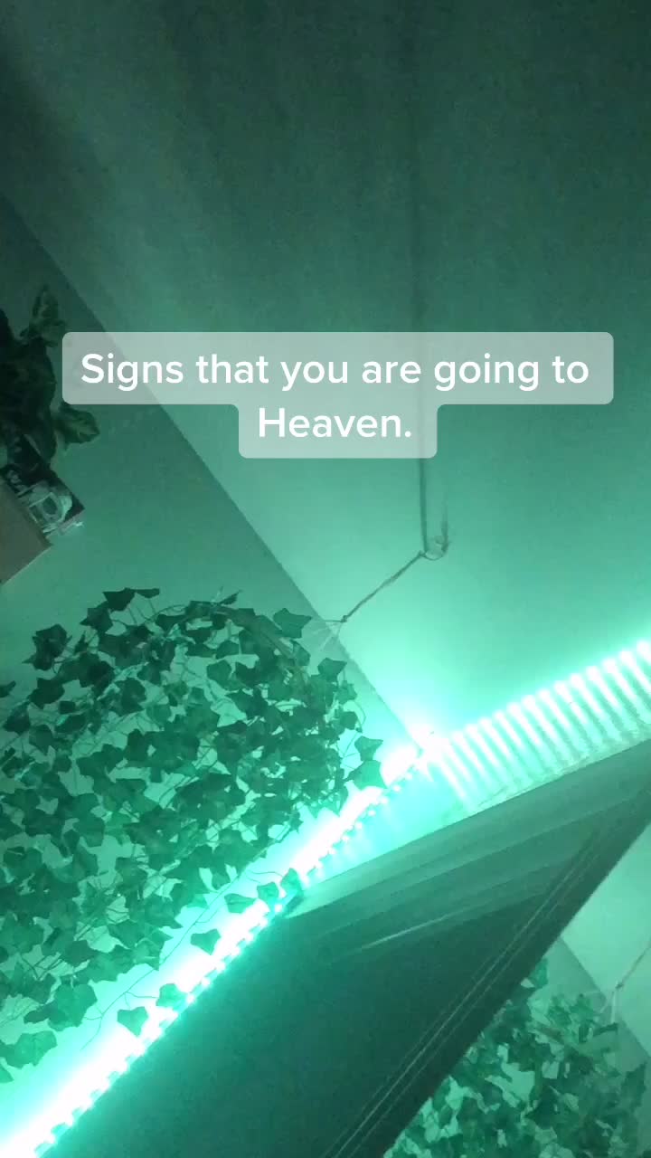 @Jesus.is.the.only.way.