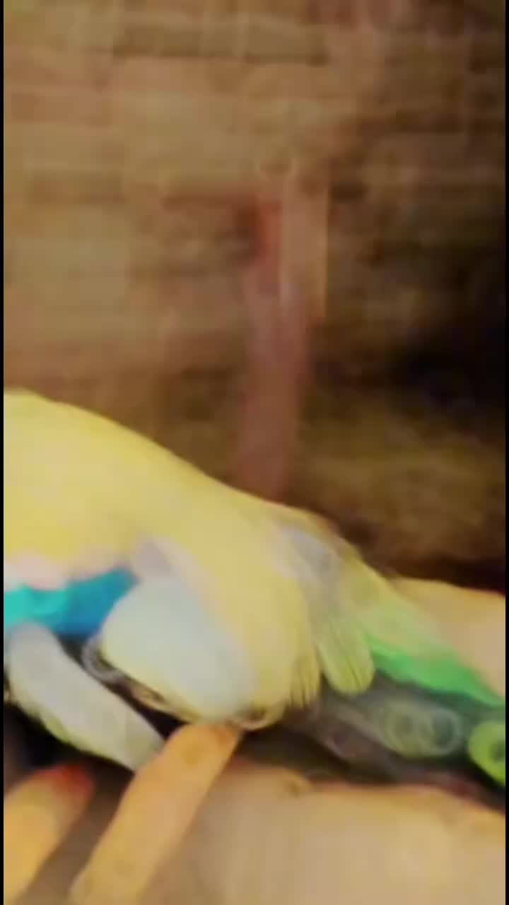 @gangster Mafia 🦅