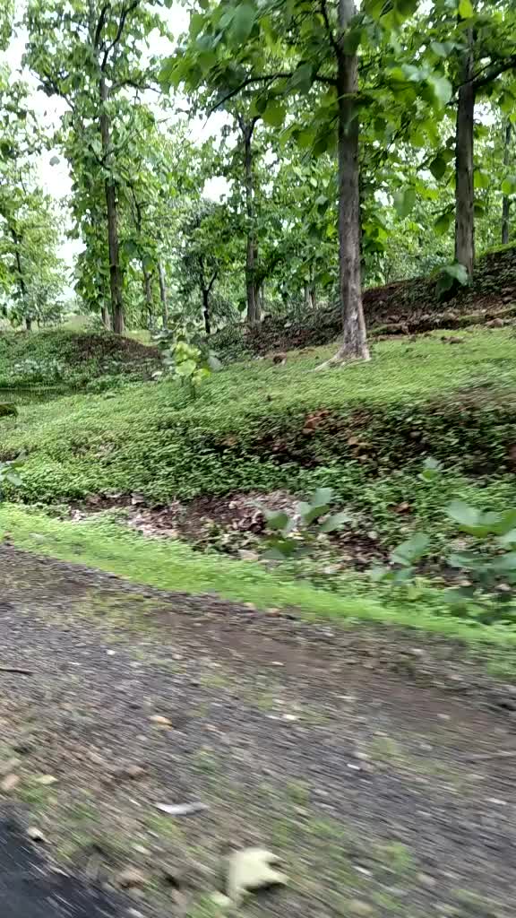 @Sarita Sunoriya