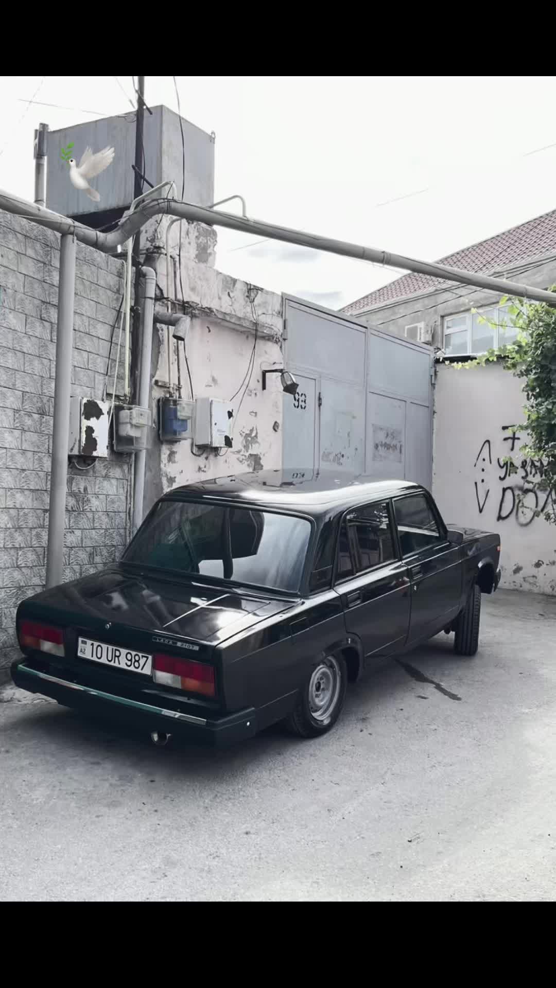 @🔗🕊️