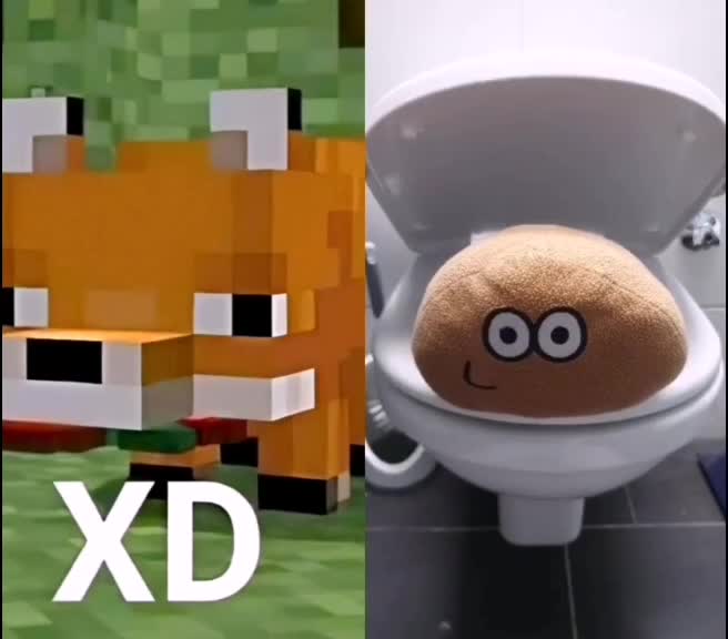 @Zorrito xd 🦊