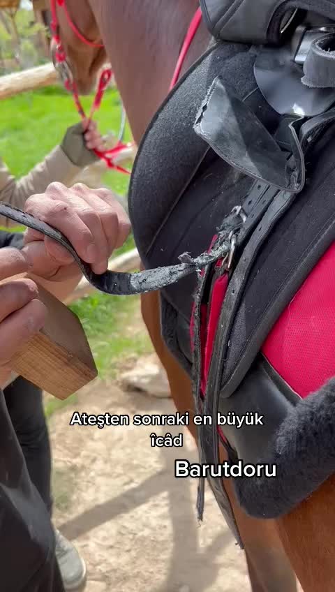 @𝐵𝐴𝑅𝑈𝑇𝐷𝑂𝑅𝑈