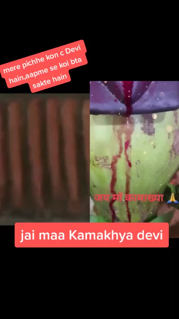 @user46461507122