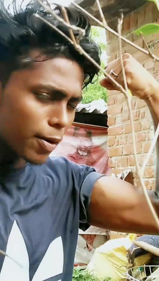 @call_me_saro