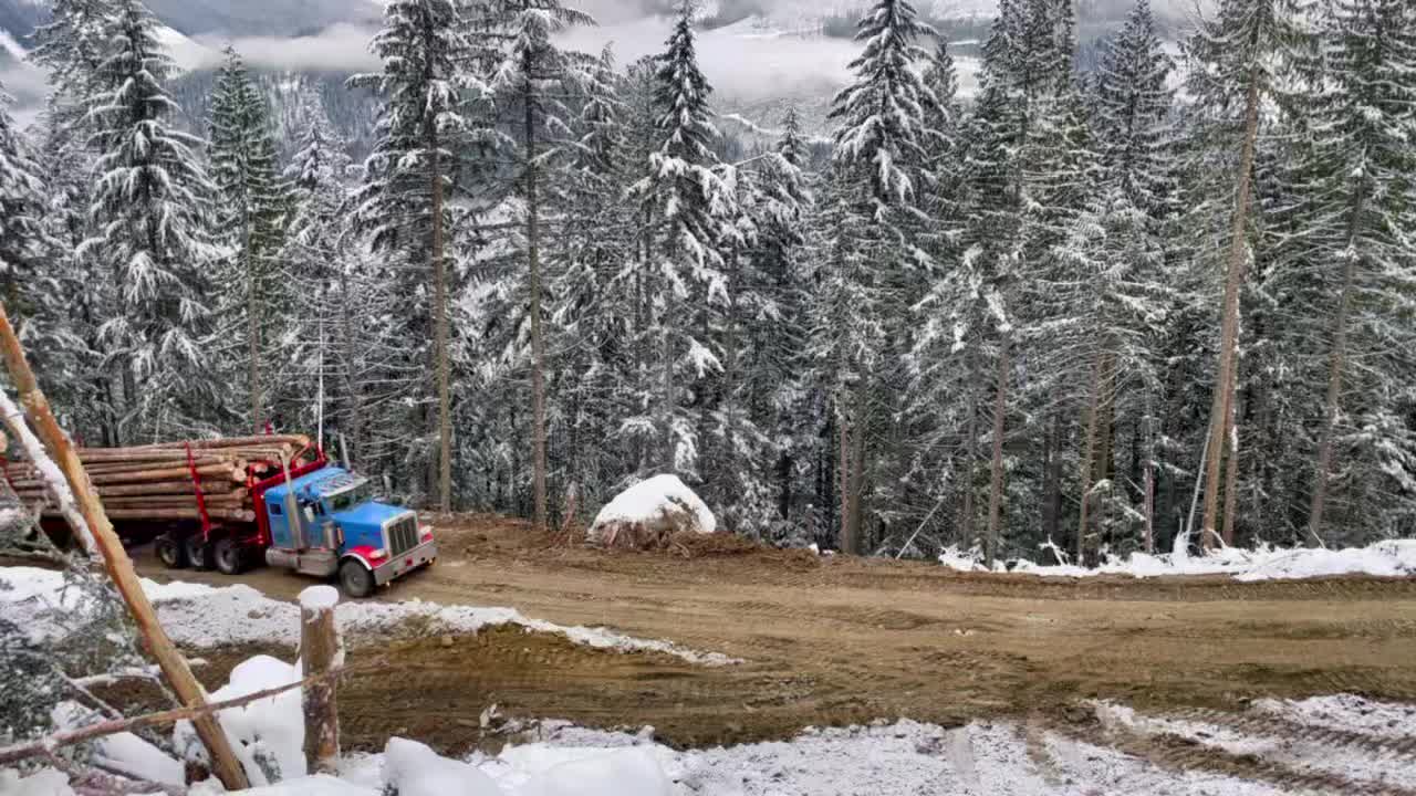 @ltslogging