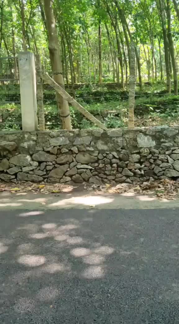 @Akhil Manoj