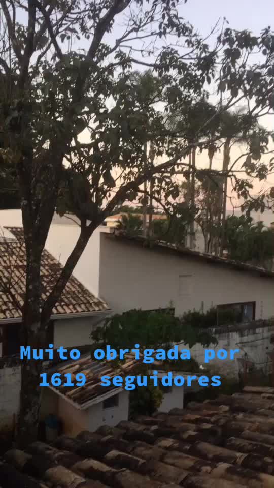 @cissaastresbotoni