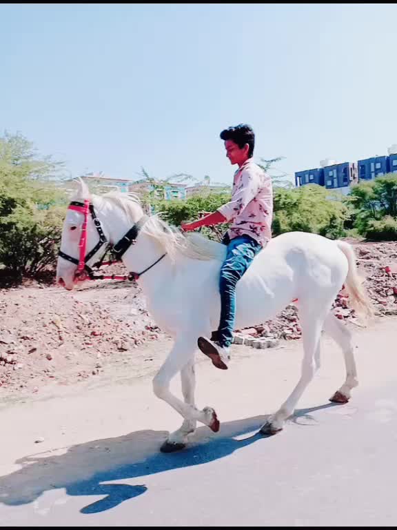 @MITESH BHARWAD