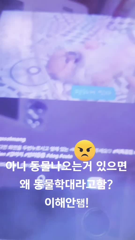 @따봉도치
