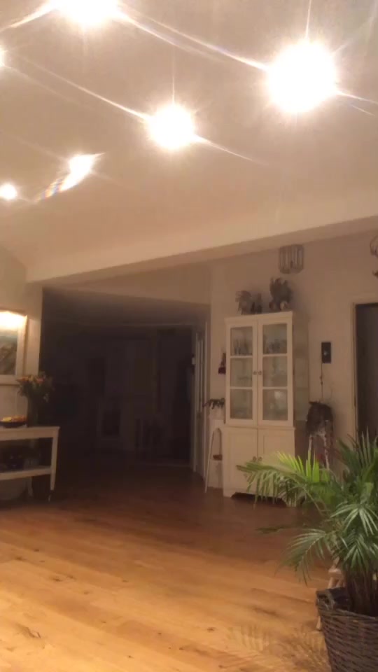 @fritteoemmis