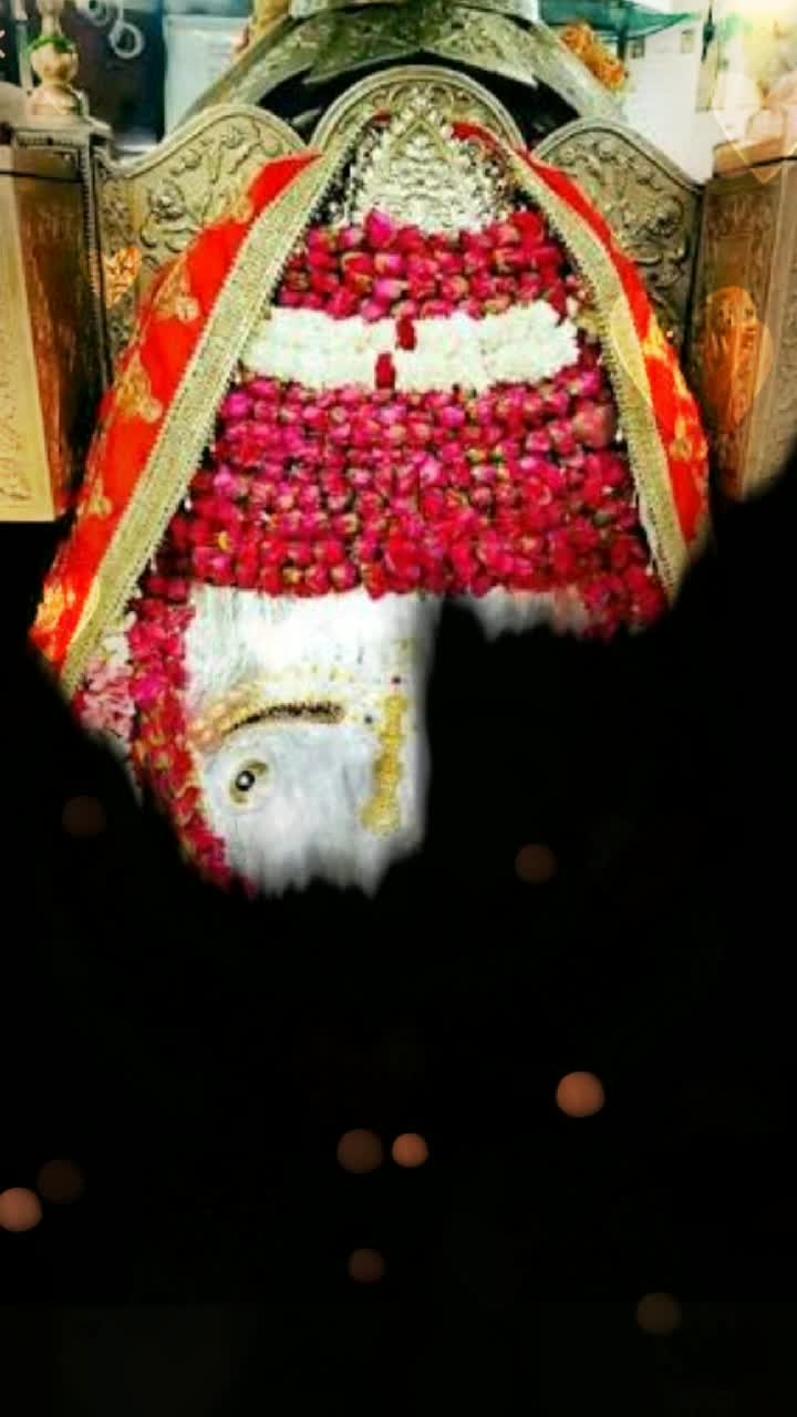 @llx_shankar