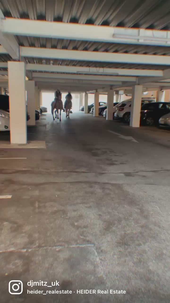 @djmitz1