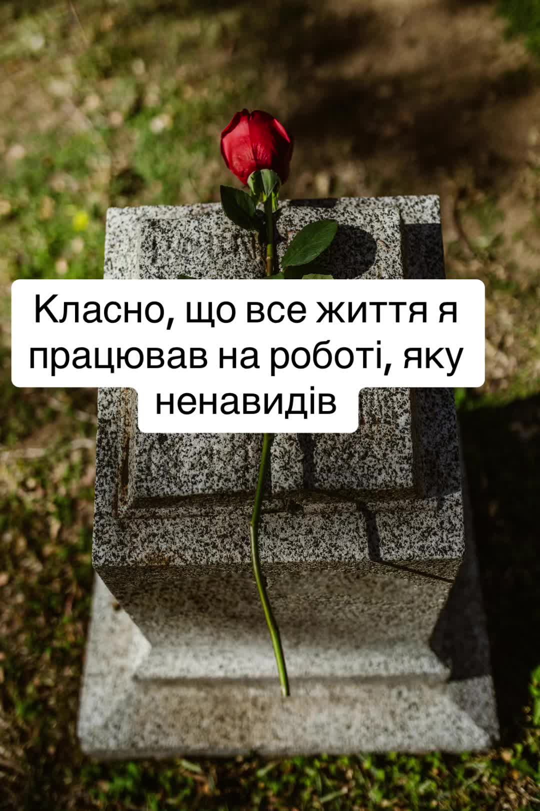 @Мирослава
