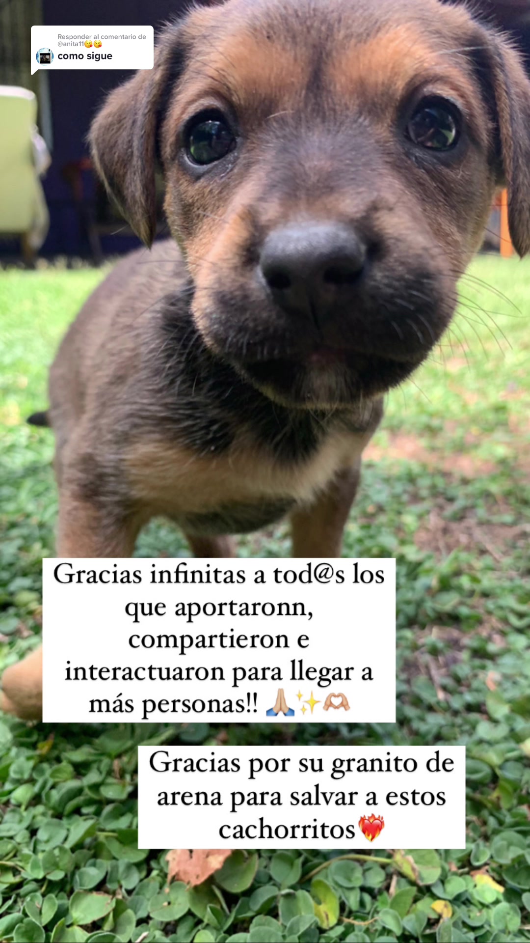 @belenchavezm