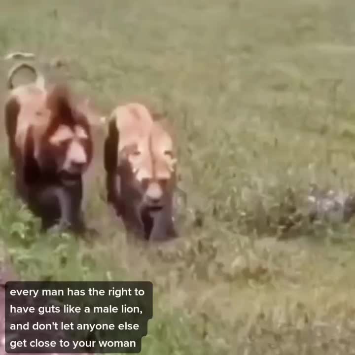@Wa²xN彡