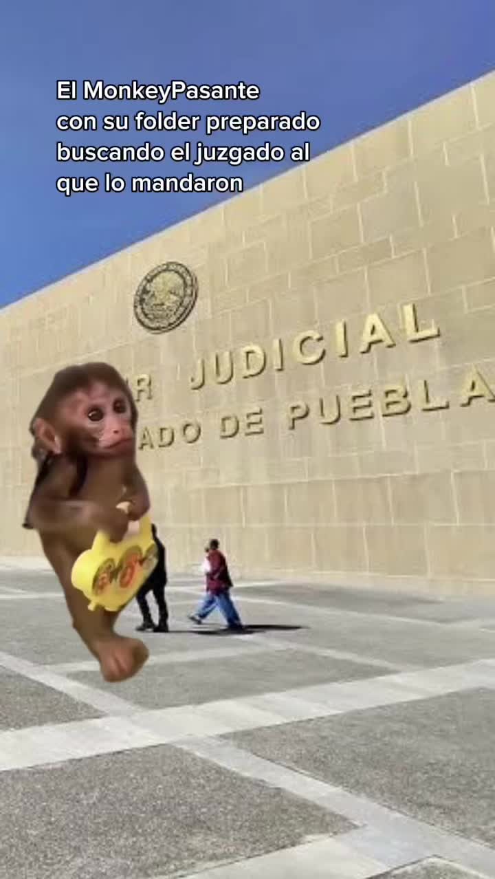 @HIM Asesores Jurídicos
