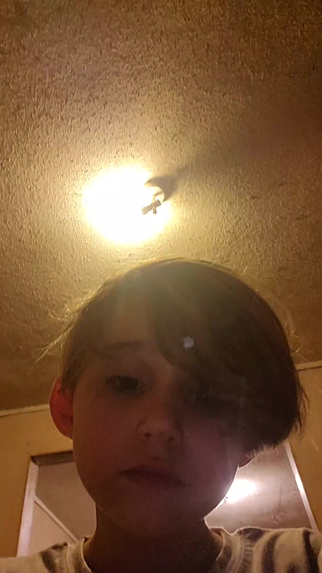 @elianas.journeyof_sod