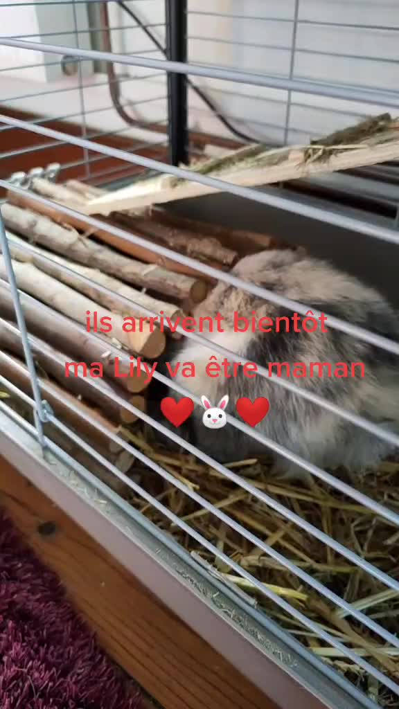 @Bianca