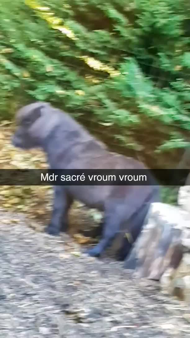 @D O U D O U D S S N D