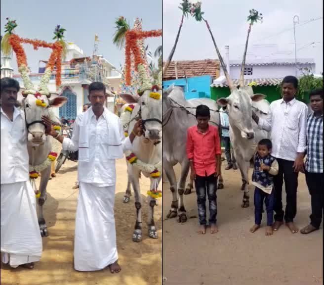@Allumallu Allumallu