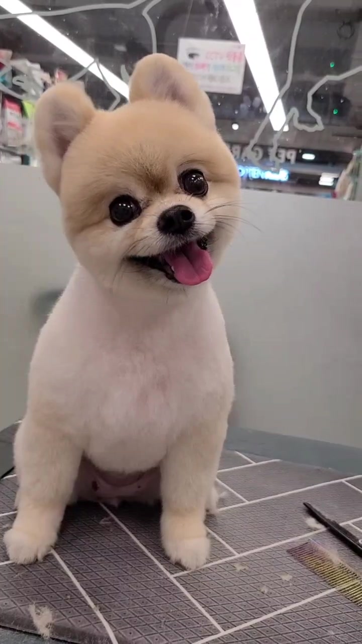 @kkangchu