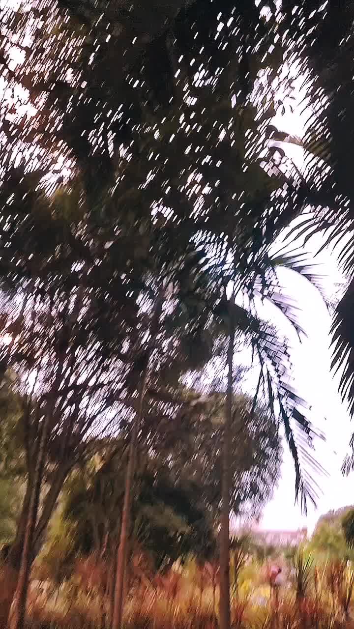 @aarushxetri3