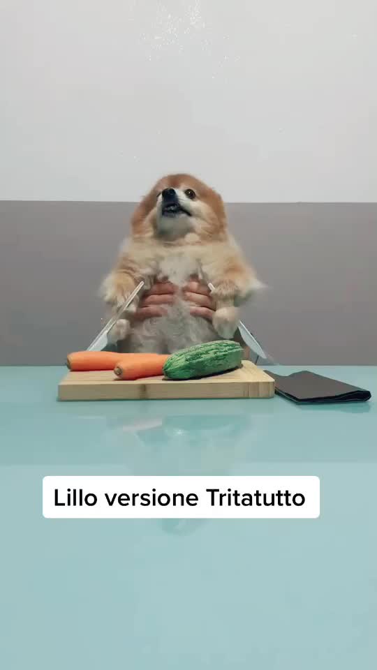 @edoardo.occelli