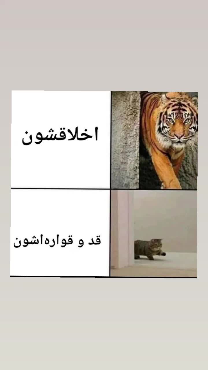 @beigi