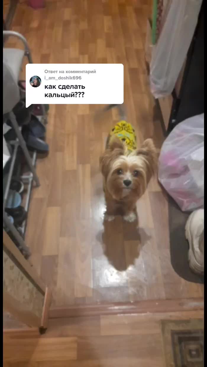 @Улиточки🐌💗