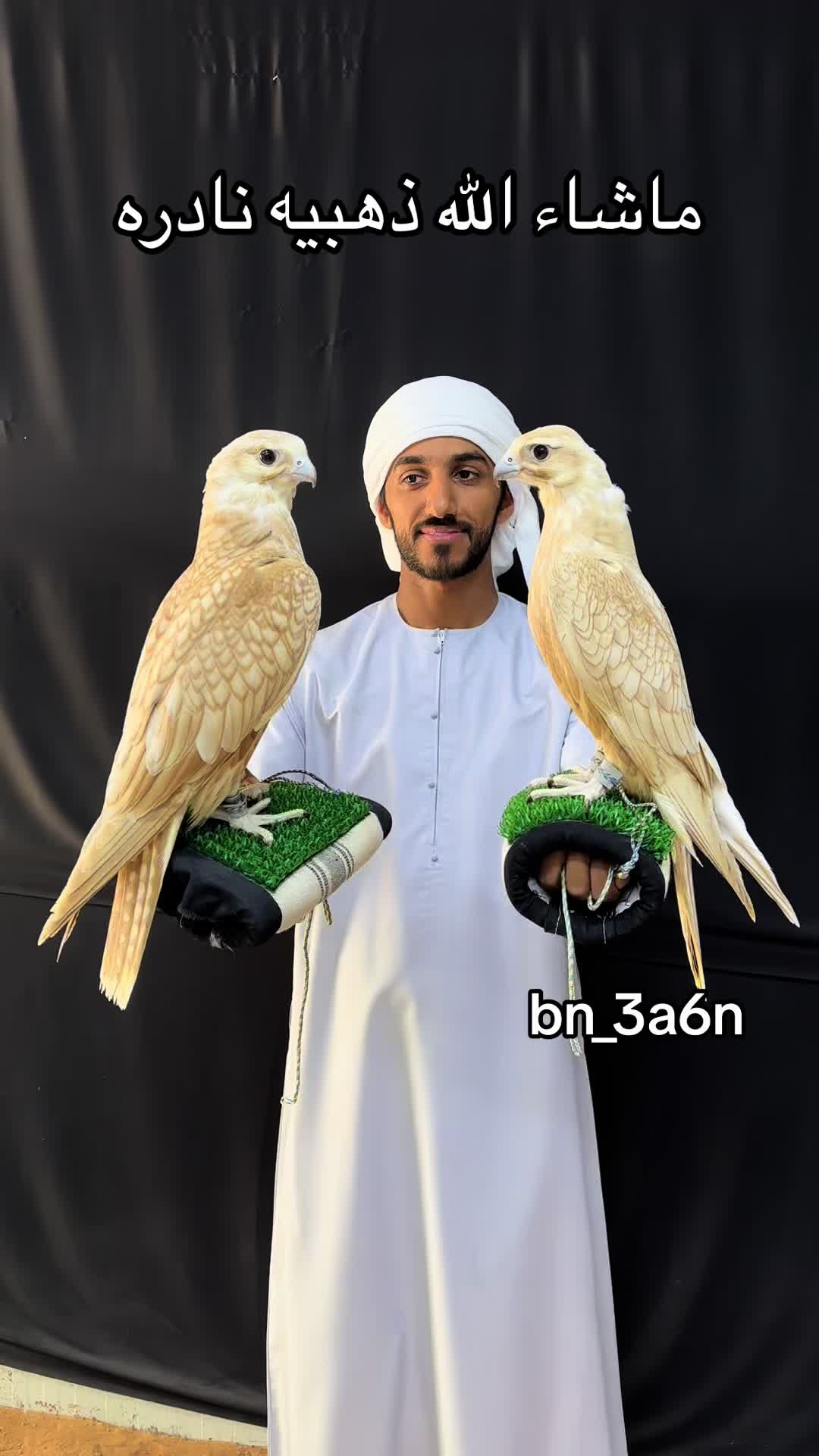 @محمد بن عاطن🦅