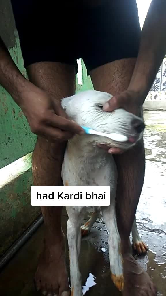@Dev Singh