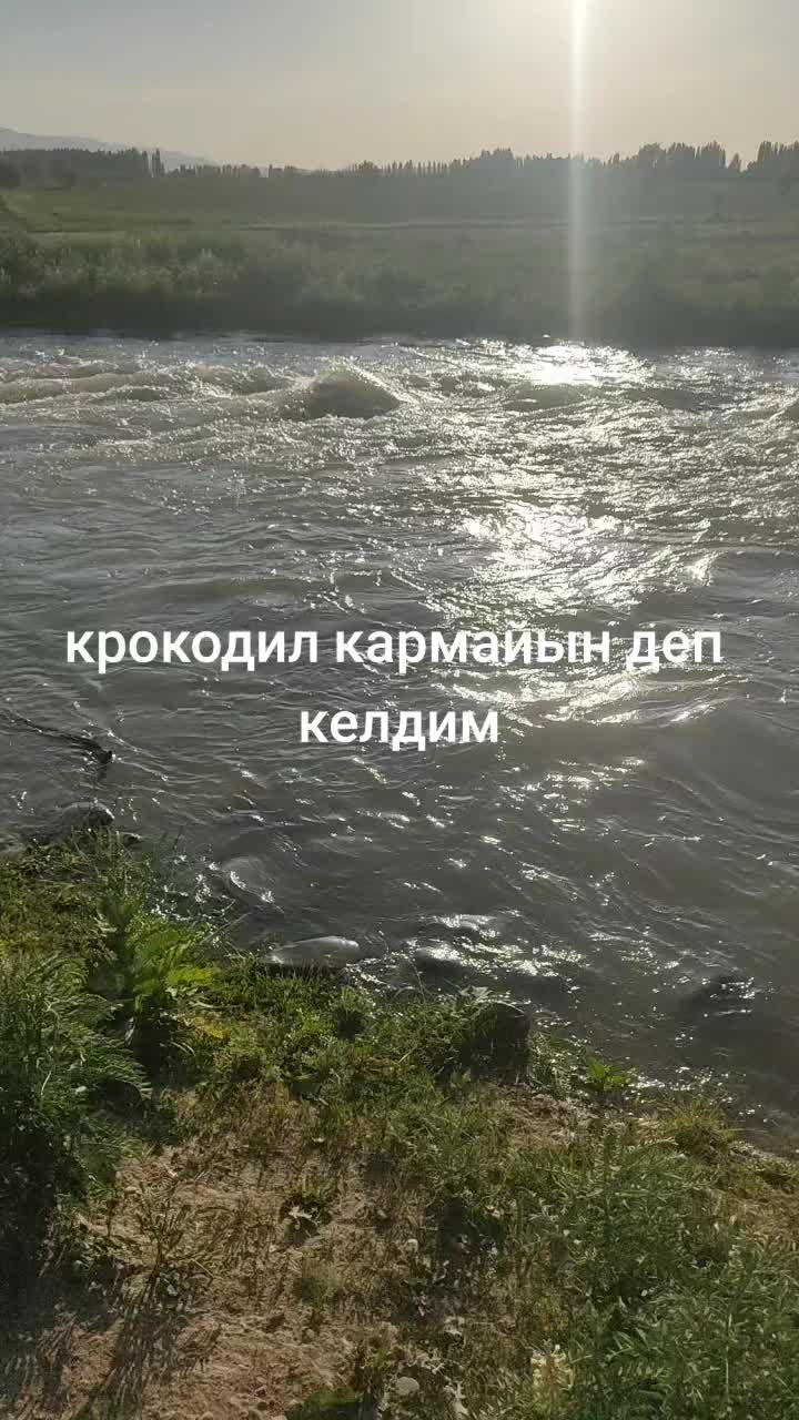 @𝕋𝔸𝕃𝔸𝕊07
