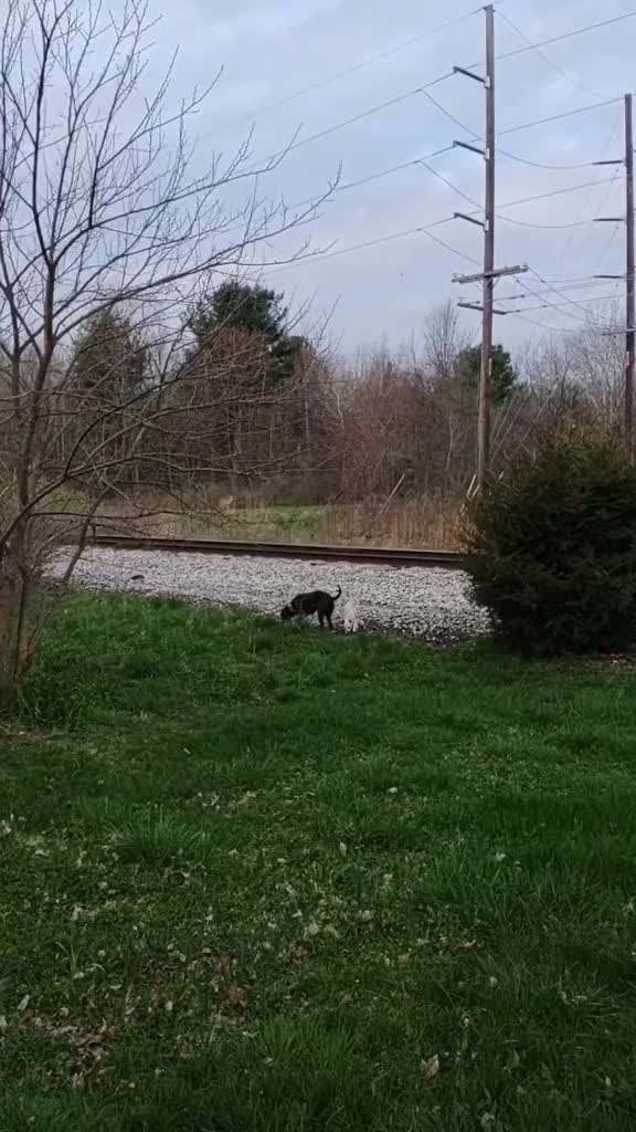 @SOMEDUMBGUYINMICHIGAN