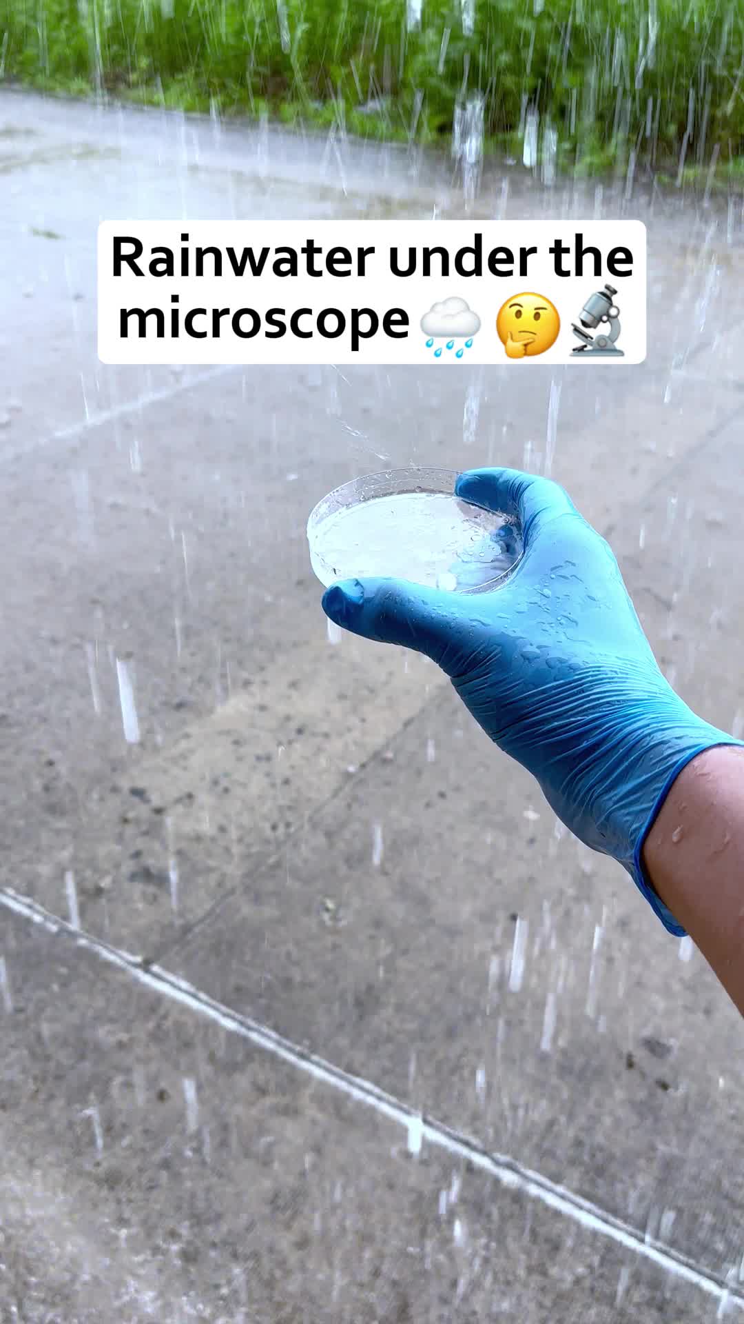@MicroMagic6