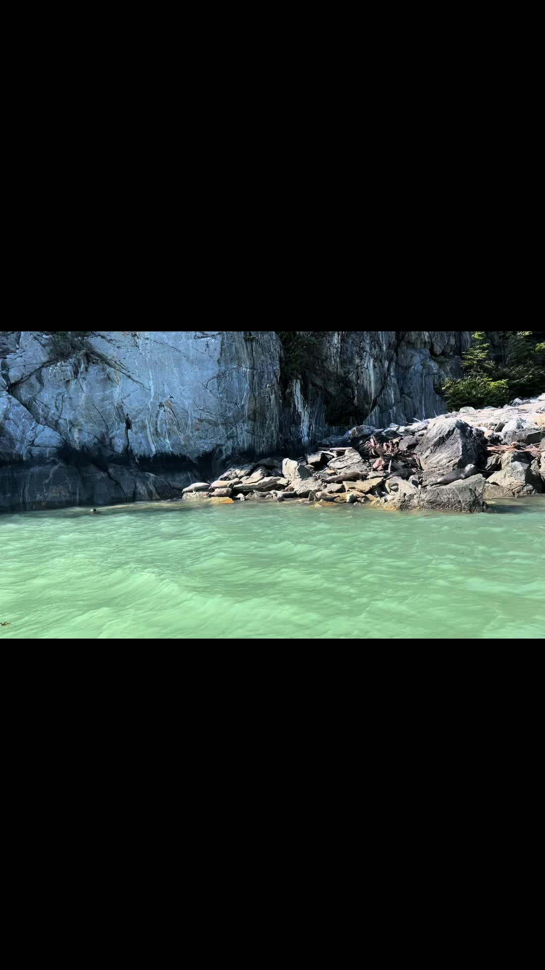 @CrowsPlague