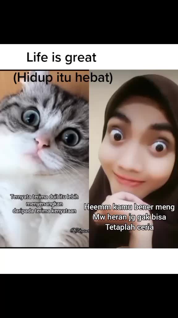 @jeonki