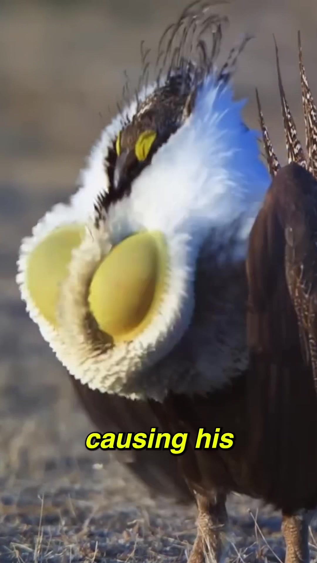 @Chris's Science Videos