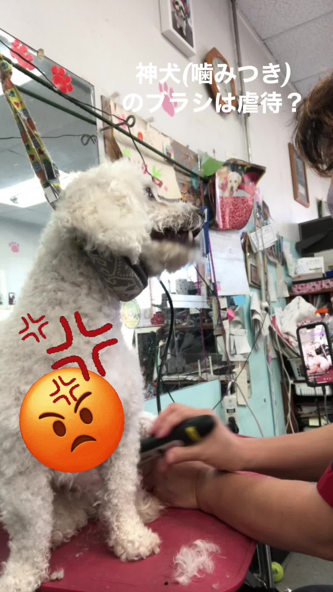 @Kaoru Nakajima123